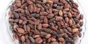 Neem Fruits