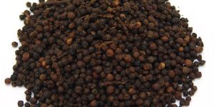 Black Pepper (Fresh)