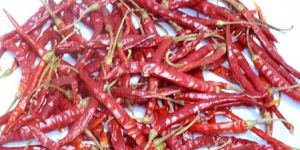 Dry Red Chilli