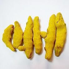 Turmeric Finger
