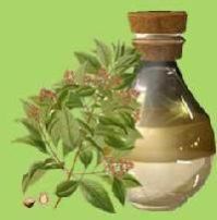 Sandalwood Oil