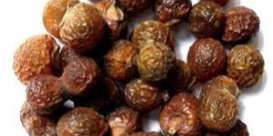 Soap Nuts
