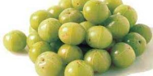 Fresh Amla
