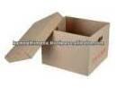 Ecofriendly Fruit Packing Box