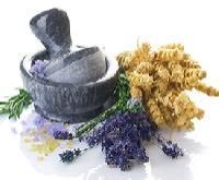 Herbal Veterinary Medicine