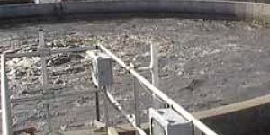 Domestic Sewage Water Treatment Plant