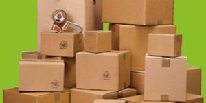 Corrugated Plain Cartons