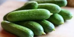 Vegetable Seeds of Cucumber Gauri Green Fruit