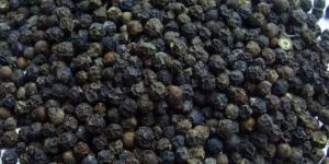 Black Pepper Seeds