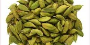 Green Cardamom
