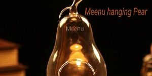 Meenu Hanging Paper Lamps