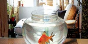 Glass Potpourri Bowl