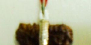 1 Mukhi Rudraksha Pendant