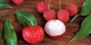 Fresh Litchi