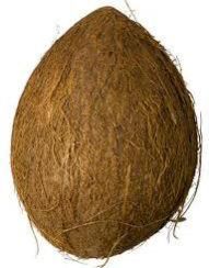 Brown Coconut