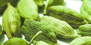 Cardamom