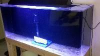 Acrylic Aquariums