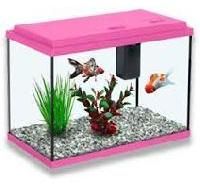 Fish Aquariums
