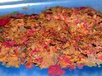 Aquarium Fish Foods