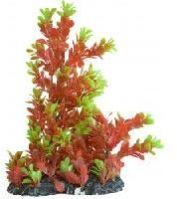 Aquarium Accessories