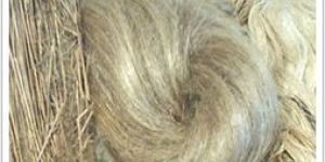 Flax Yarns