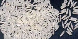 Basmati Rice