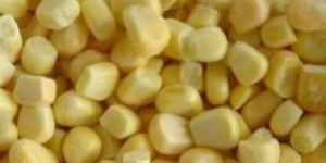 IQF Sweet Corn