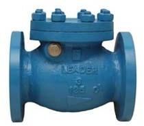 Cast Iron Reflux Valves