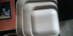 Palm Leaf Plates
