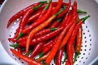 Dried Chillies