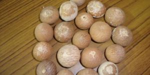 Bettal Nut(Supari)