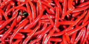 Red Chili