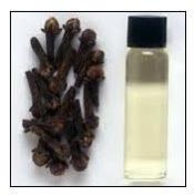 Clove Oil