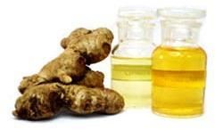 Ginger Oil