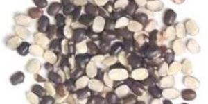 Eco Black Urad Dal