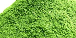 Moringa Leaf Powder