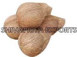 Semi Husked Coconuts