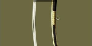 Austro Hungarian Hussar Saber