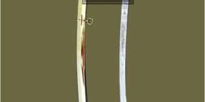 British General Officer Mameluke Saber