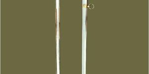 Victorian Life Guards Officer Saber