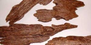Agarwood Oil