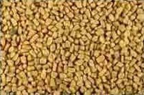Fenugreek Extract