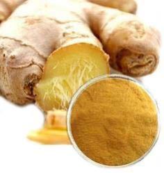 GINGER EXTRACT