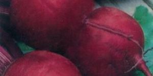Beetroot Seeds