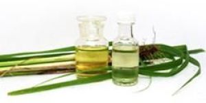 Citronella Oil