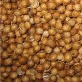 Coriander Seed Oil