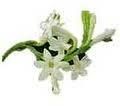 Tuberose Oil(For Soap,candle,perfumes)
