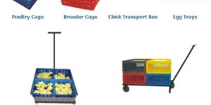 Cage Trolley