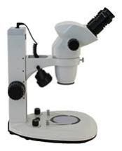 Dissecting Microscope