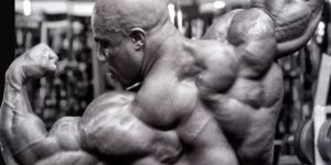 Bodybuilding Supplements